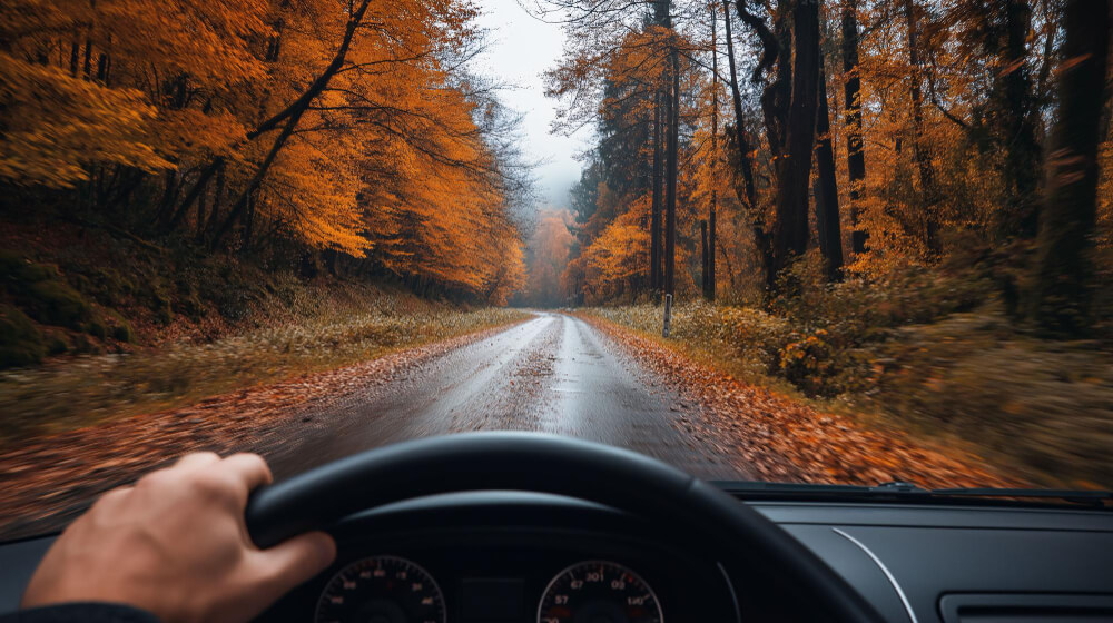 Vožnja automobila u jesen.